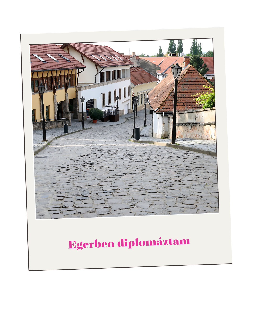 Szilágyi-Pohlott Andi közösségi média szakértő